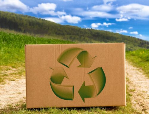 Sustainable Shipping: Eco-Conscious Practices for a Better Tomorrow